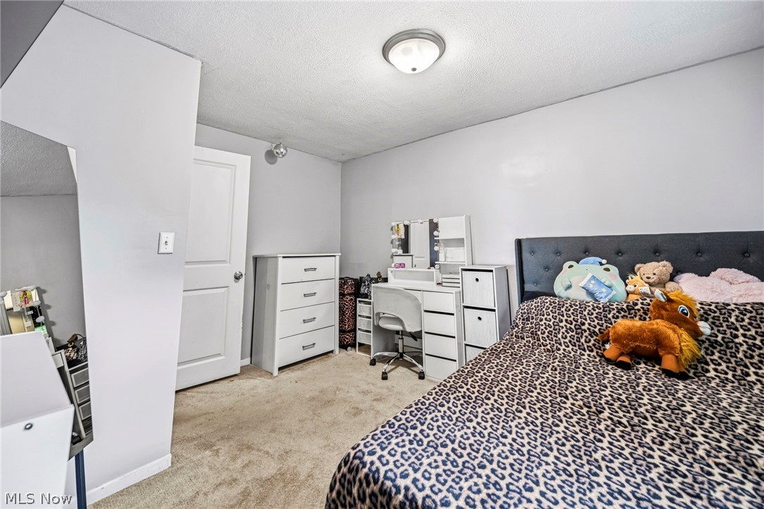 1993 Dadeyville Road Austinburg OH 44010