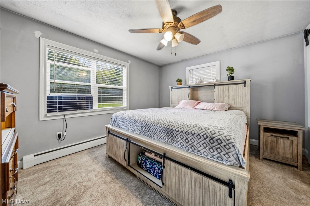 1993 Dadeyville Road Austinburg OH 44010