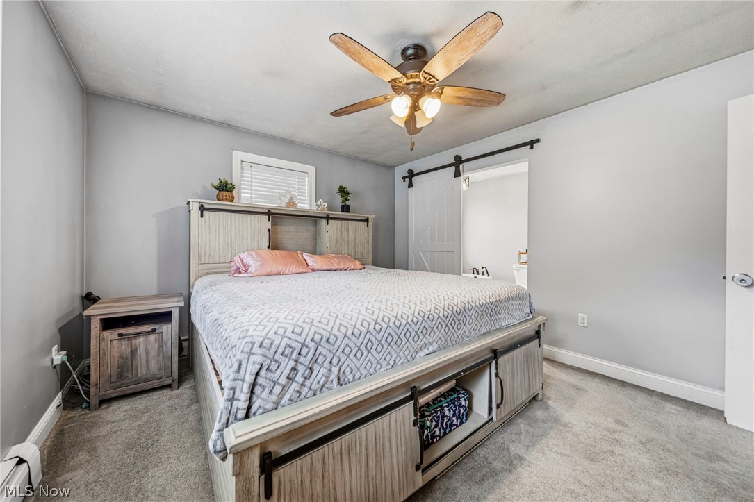 1993 Dadeyville Road Austinburg OH 44010