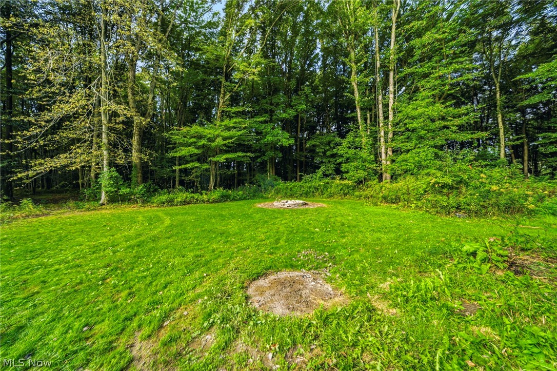 1993 Dadeyville Road Austinburg OH 44010