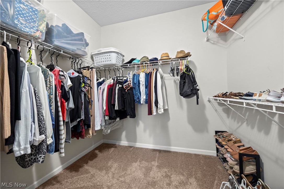 4248 Meadow Lark Drive Lorain OH 44053