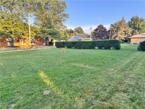 2907 Snow Road Parma OH 44134