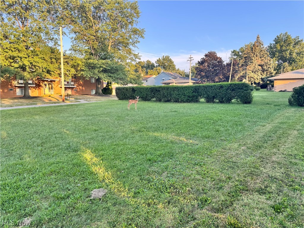 2907 Snow Road Parma OH 44134