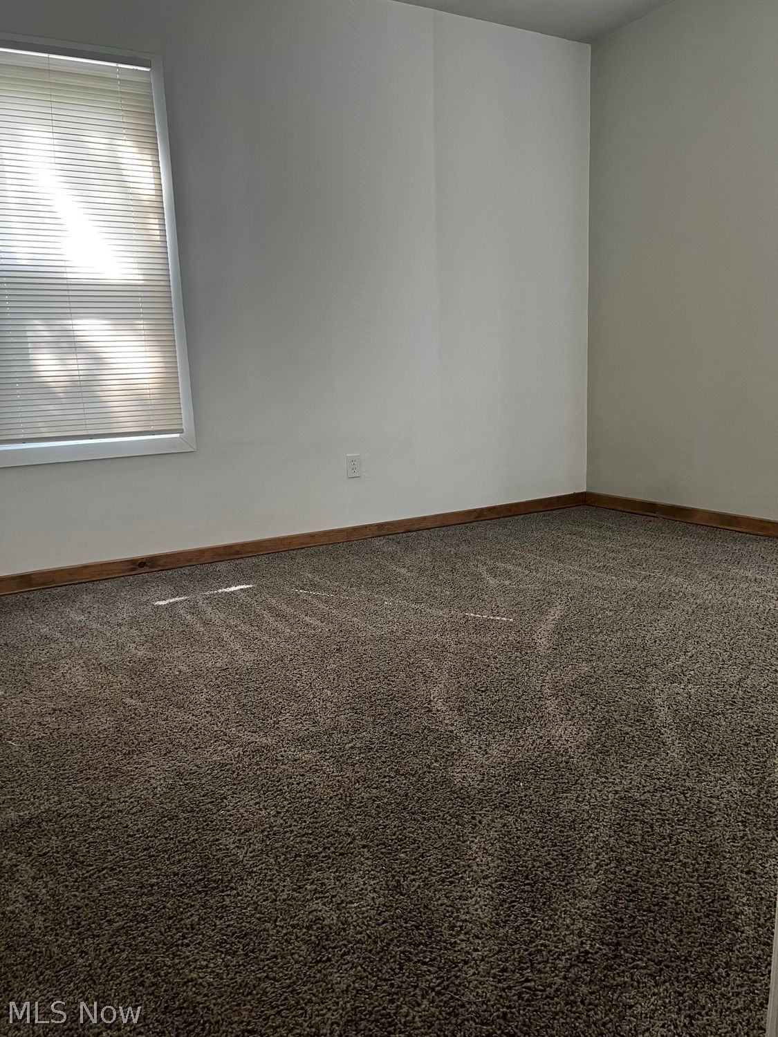 1516 E 173rd Street Cleveland OH 44110