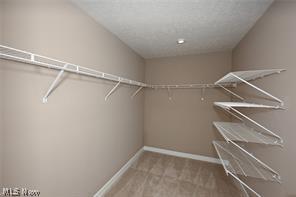 1838 Shank Drive Akron OH 44313