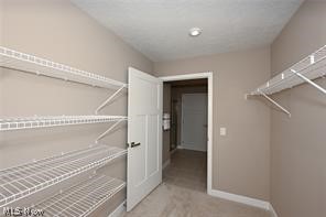 1838 Shank Drive Akron OH 44313