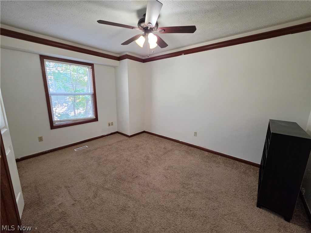 377 University Avenue Painesville OH 44077
