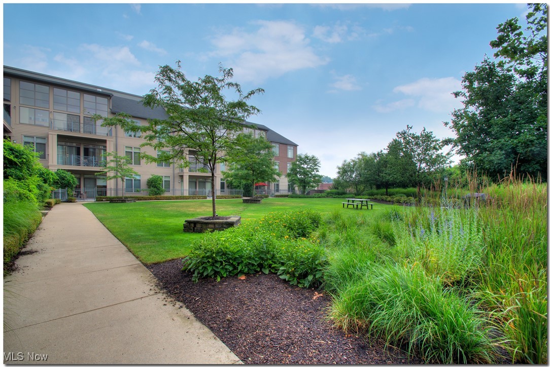 16800 Van Aken Shaker Heights OH 44120