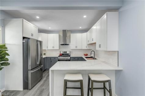 3290 W 23rd Place Cleveland OH 44109