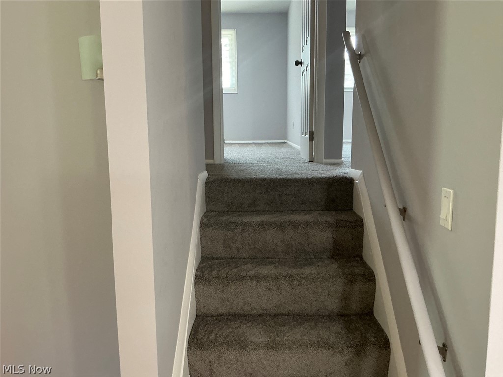 3732 Maplecrest Road Woodmere OH 44122