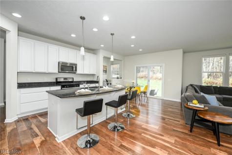 4816 Lake View Drive Peninsula OH 44264