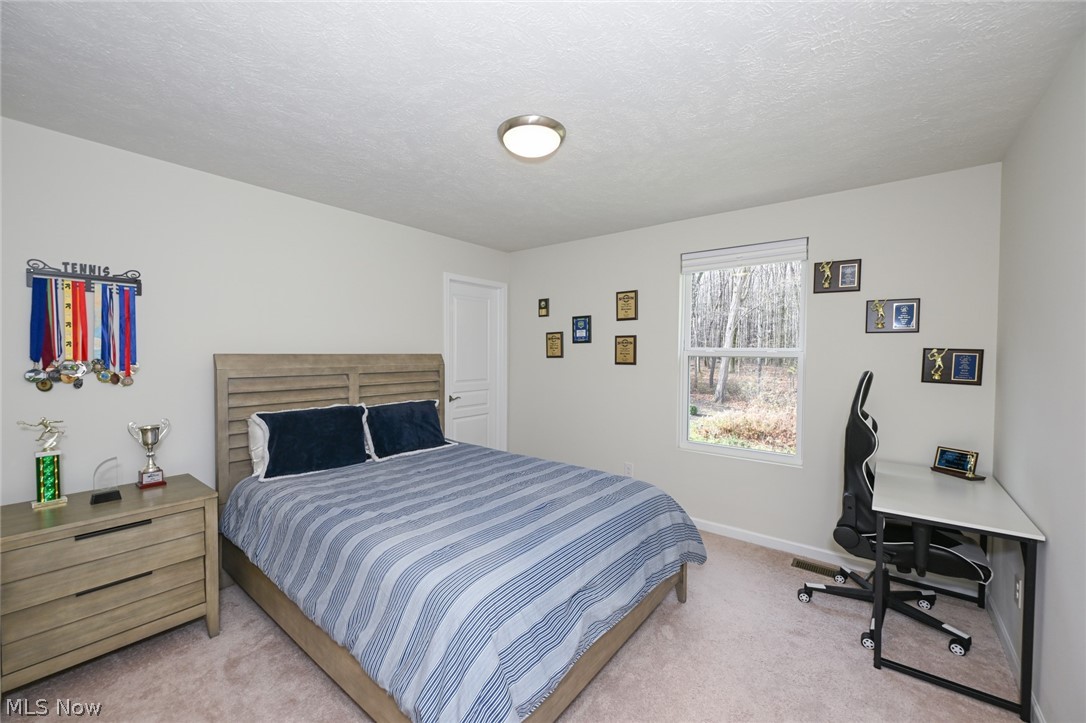 4816 Lake View Drive Peninsula OH 44264