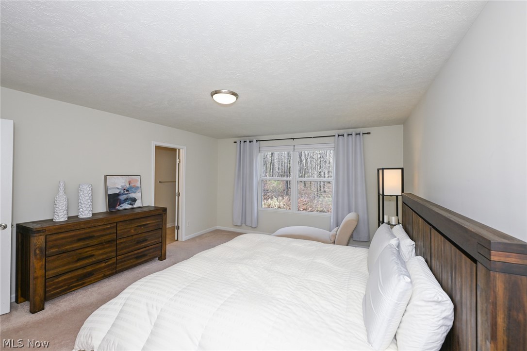 4816 Lake View Drive Peninsula OH 44264