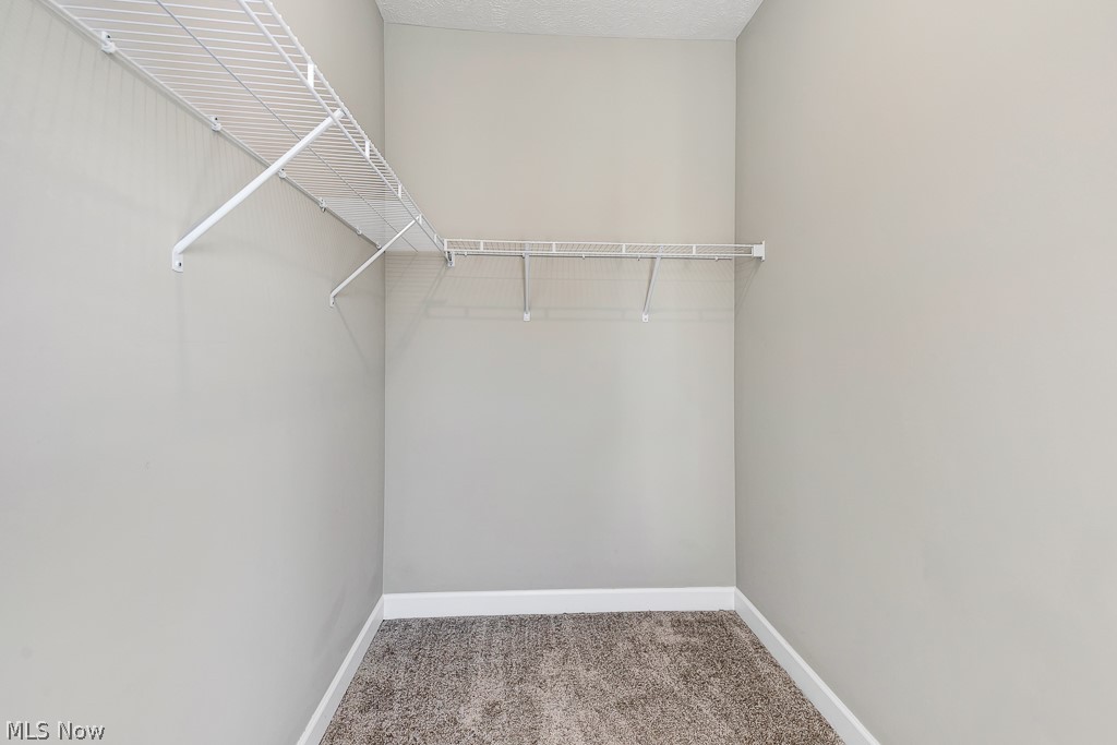 3601 Bailey Avenue Cleveland OH 44113