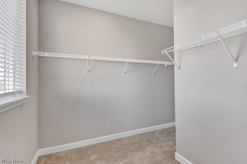 3601 Bailey Avenue Cleveland OH 44113