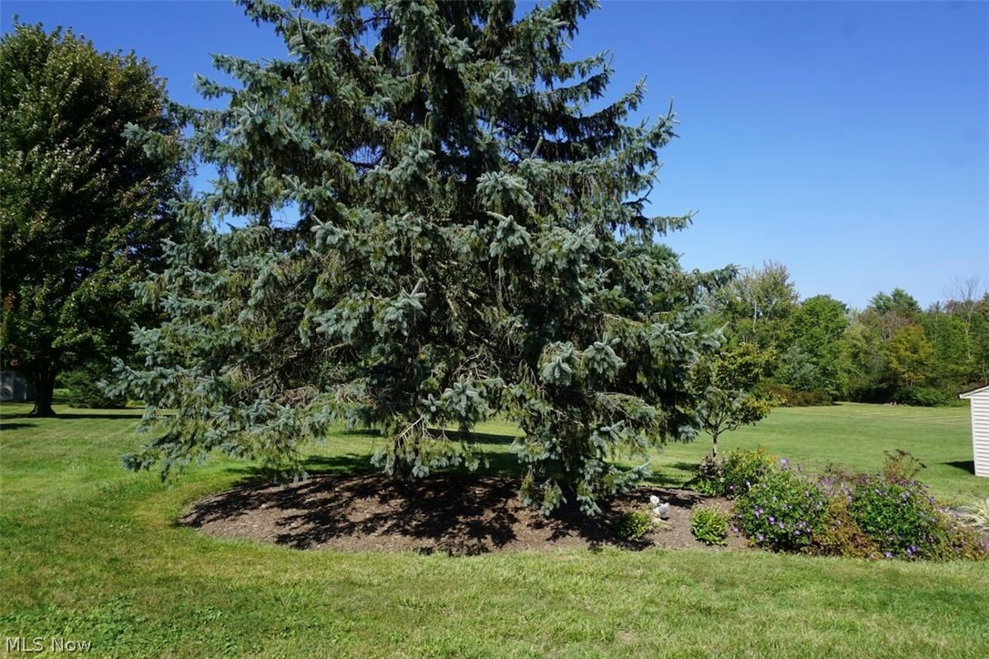 12321 Norton Drive Chesterland OH 44026