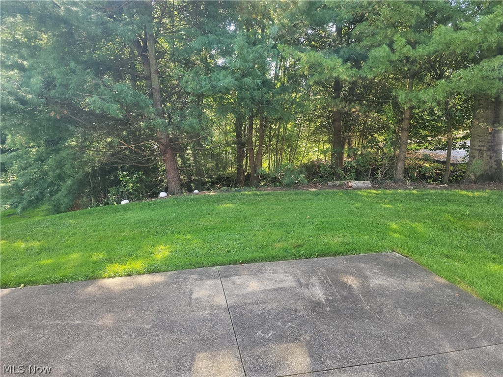 470 Pheasant Run Tallmadge OH 44278