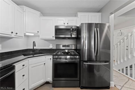 838 Overlook Ridge Drive Cleveland OH 44109