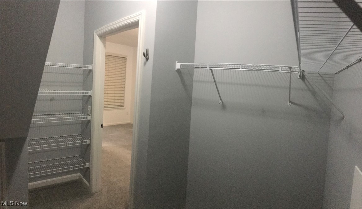 3215 Euclid Heights Boulevard Cleveland Heights OH 44118