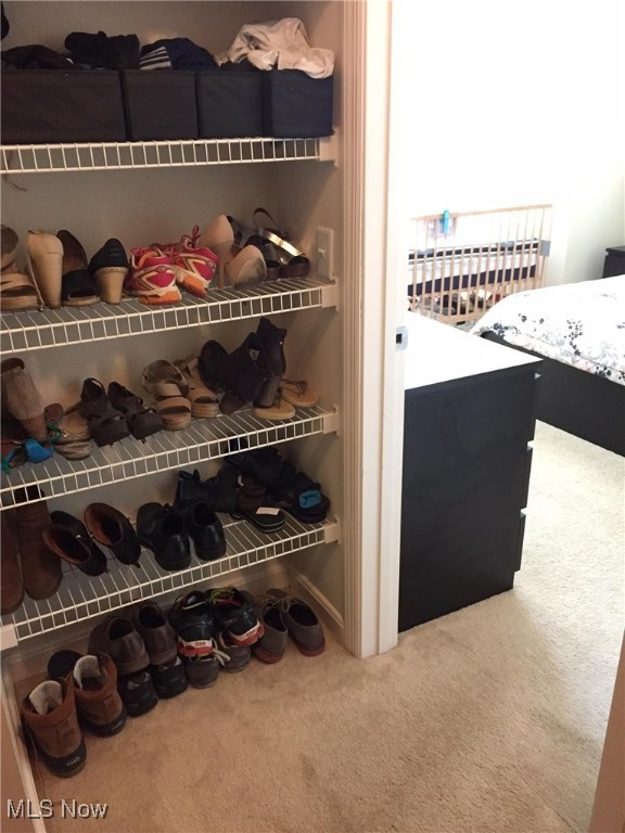 3215 Euclid Heights Boulevard Cleveland Heights OH 44118