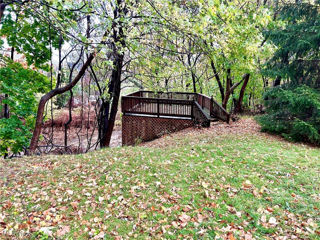 1007 Creek View Drive Cleveland OH 44119