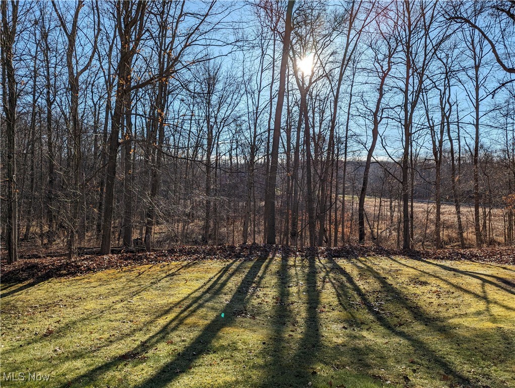 13807 Equestrian Drive Burton OH 44021