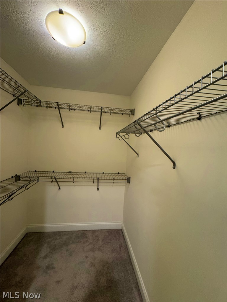 1361 Slate Court Cleveland Heights OH 44118