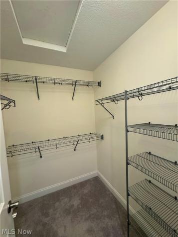 1361 Slate Court Cleveland Heights OH 44118