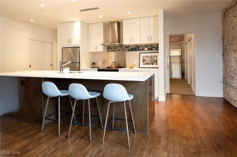 725 Johnson Court Cleveland OH 44113