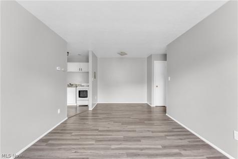 1415 Wyandotte Avenue Lakewood OH 44107