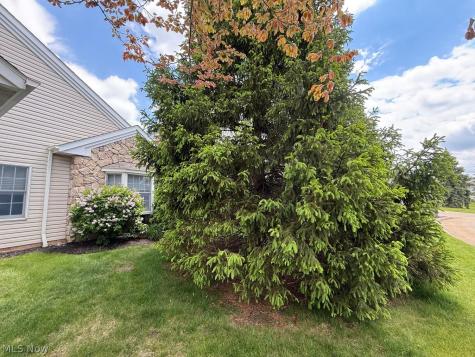 14235 Quail Ridge Drive North Royalton OH 44133
