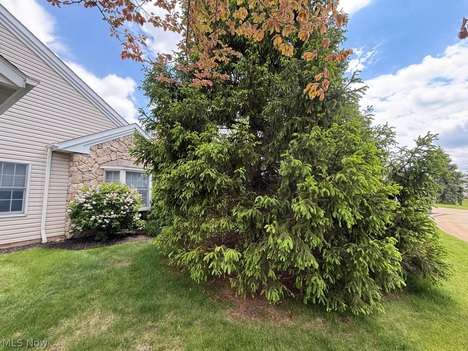 14235 Quail Ridge Drive North Royalton OH 44133