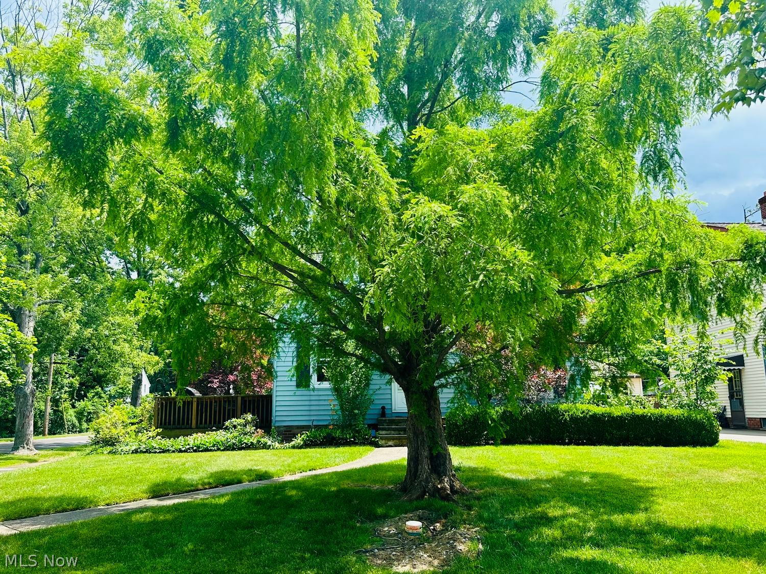 7077 Greenleaf Avenue Cleveland OH 44130
