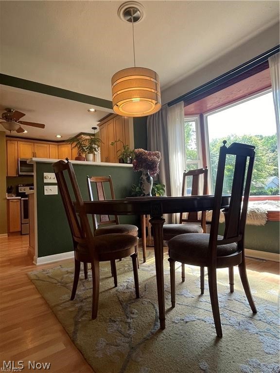 5819 S Shandle Boulevard Mentor OH 44060
