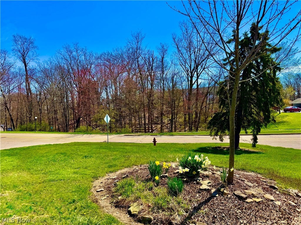 6910 Carriage Hill Drive Brecksville OH 44141