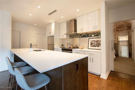 725 Johnson Court Cleveland OH 44113