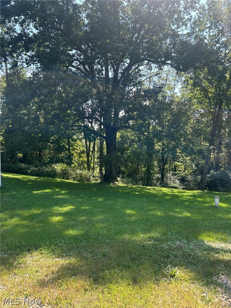 70431 Long Run Road Piedmont OH 43983