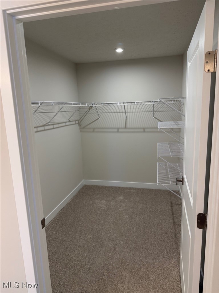1244 Cedar Ridge Drive Kent OH 44240