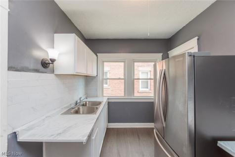 1519 Ridgewood Avenue Lakewood OH 44107