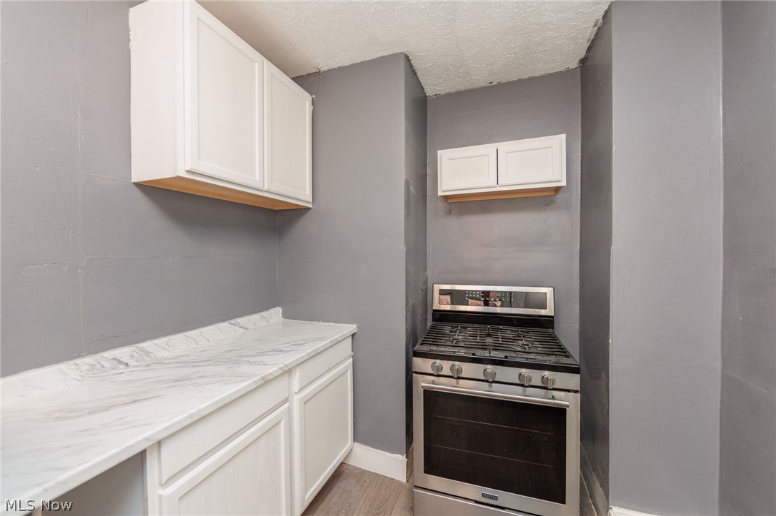 1519 Ridgewood Avenue Lakewood OH 44107