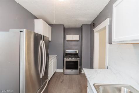 1519 Ridgewood Avenue Lakewood OH 44107