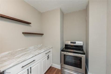 1519 Ridgewood Avenue Lakewood OH 44107