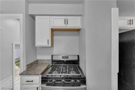 461 E 272nd Street Euclid OH 44132