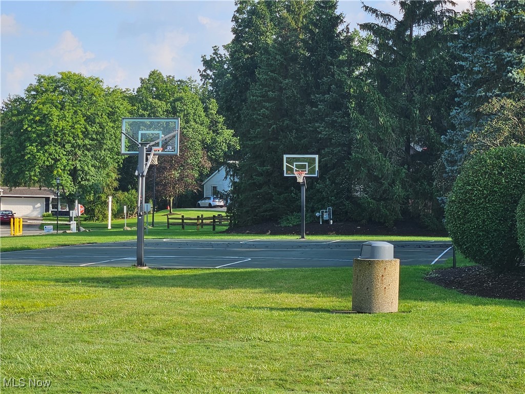 10125 Driftwood Cove Aurora OH 44202