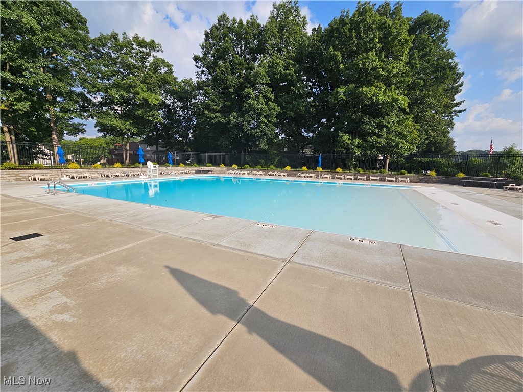 10125 Driftwood Cove Aurora OH 44202