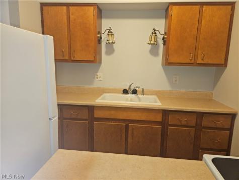 7010 Carriage Hill Drive Brecksville OH 44141