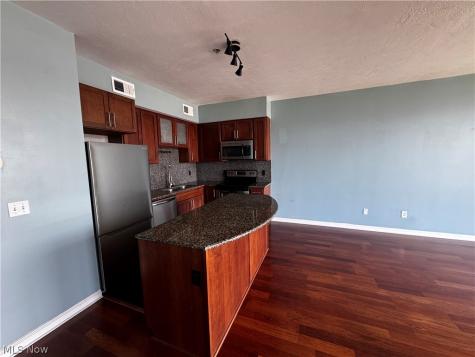 1237 Washington Avenue Cleveland OH 44113