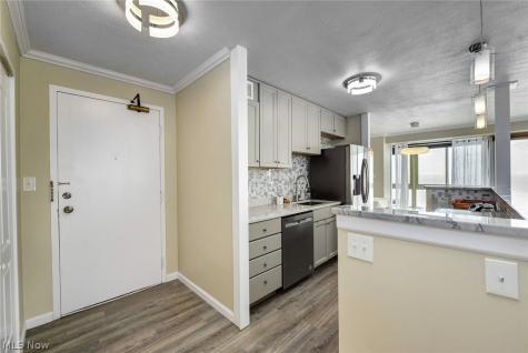 12520 Edgewater Drive Lakewood OH 44107