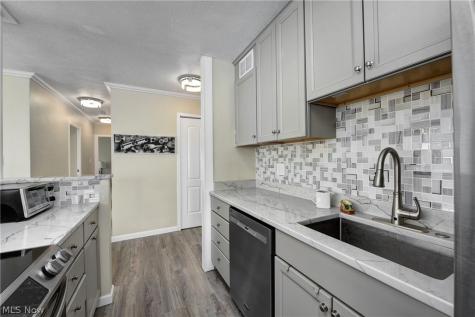 12520 Edgewater Drive Lakewood OH 44107