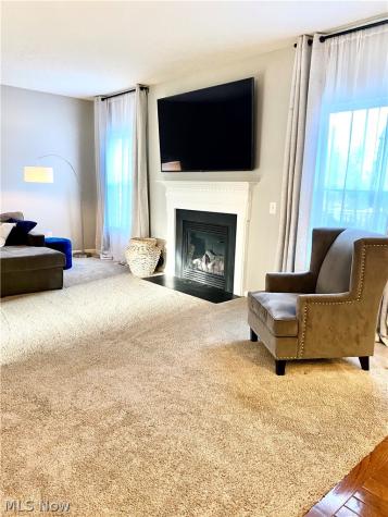 5001 Hidden Hollow Court Peninsula OH 44264